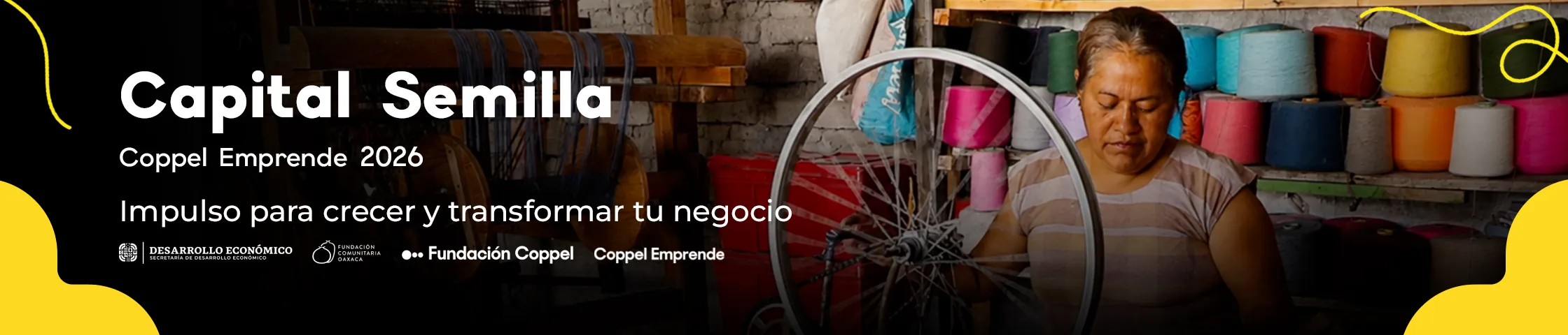 banner capital semillla 2026