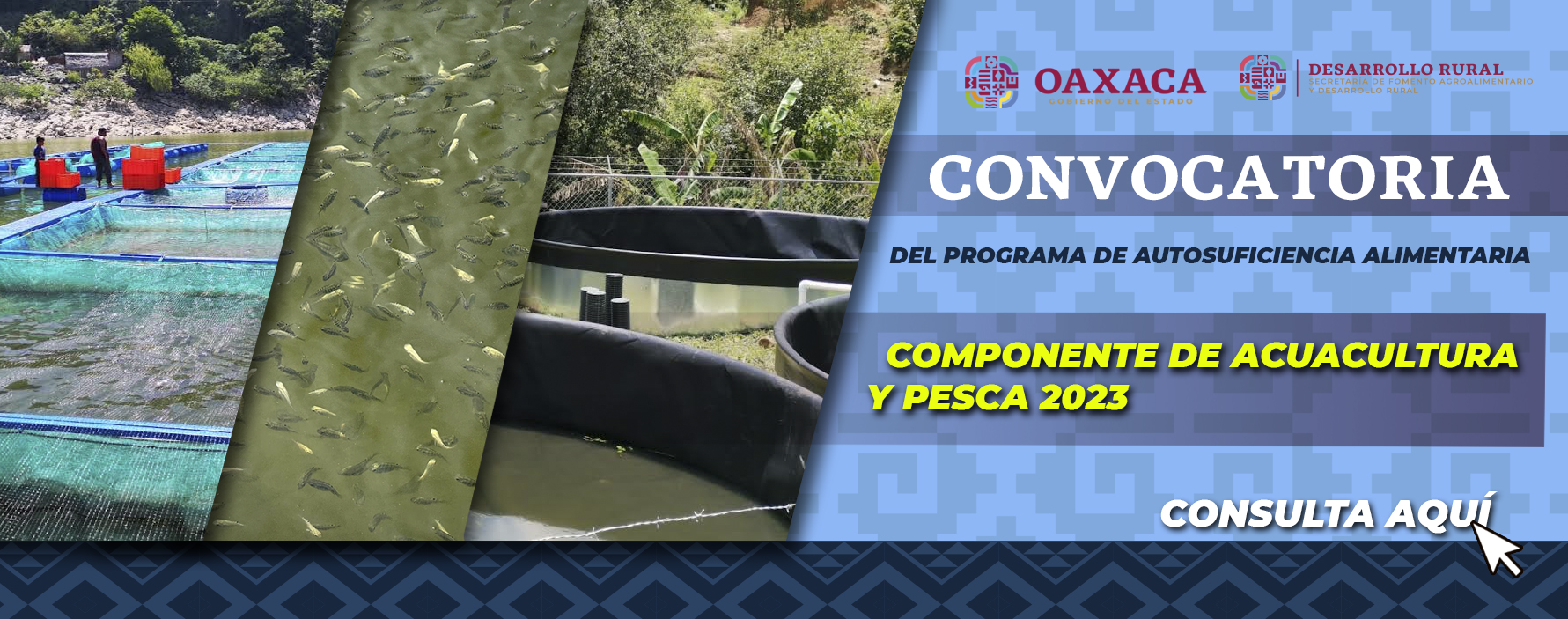 CONVOCATORIA DEL PROGRAMA DE AUTOSUFICIENCIA ALIMENTARIA, COMPONENTE DE ACUACULTURA Y PESCA, EJERCICIO 2023.