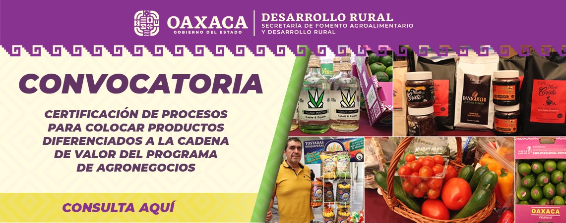 CONVOCATORIA CERTIFICACION AGRONEGOCIOS