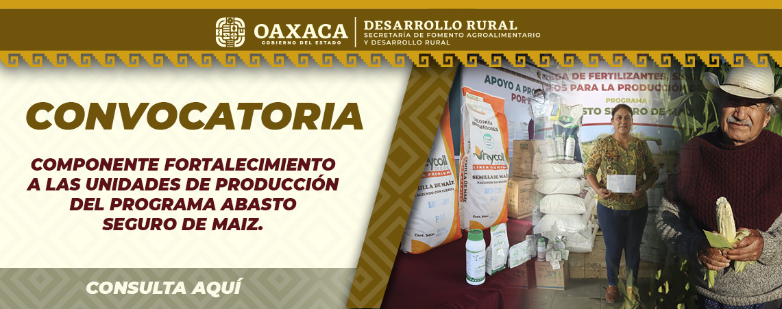 FORTALECIMIENTO A LAS UNIDADES DE PRODUCCION DEL PROGRAMA ABASTO SEGURO DE MAIZ