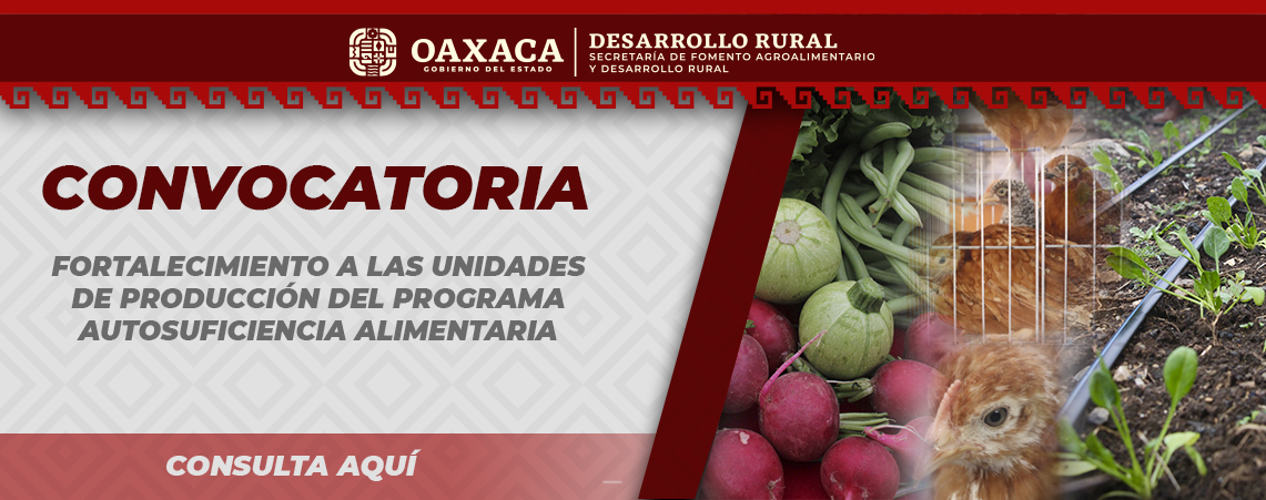 CONVOCATORIA PARA EL COMPONENTE FORTALECIMIENTO A LAS UNIDADES DE PRODUCCION AA