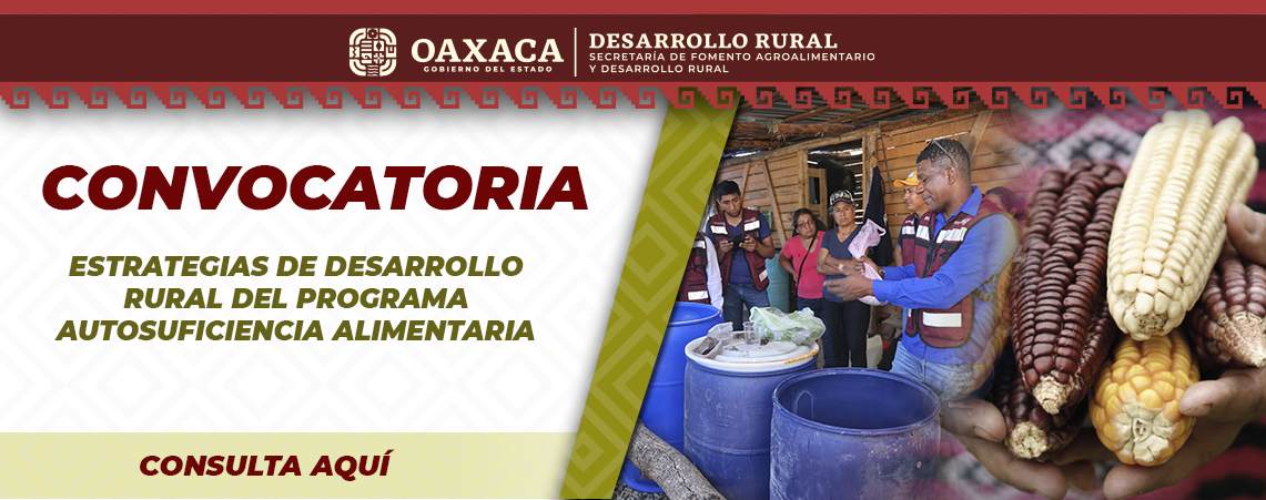 CONVOCATORIA PARA EL COMPONENTE ESTRATEGIAS DE DESARROLLO COMUNITARIO RURAL AA
