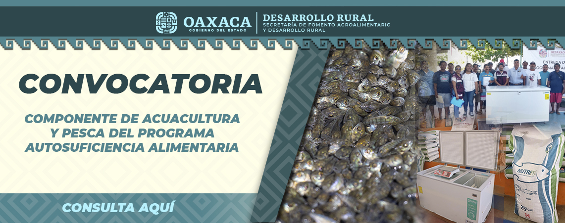 Convocatoria Acuacultura y Pesca 2025