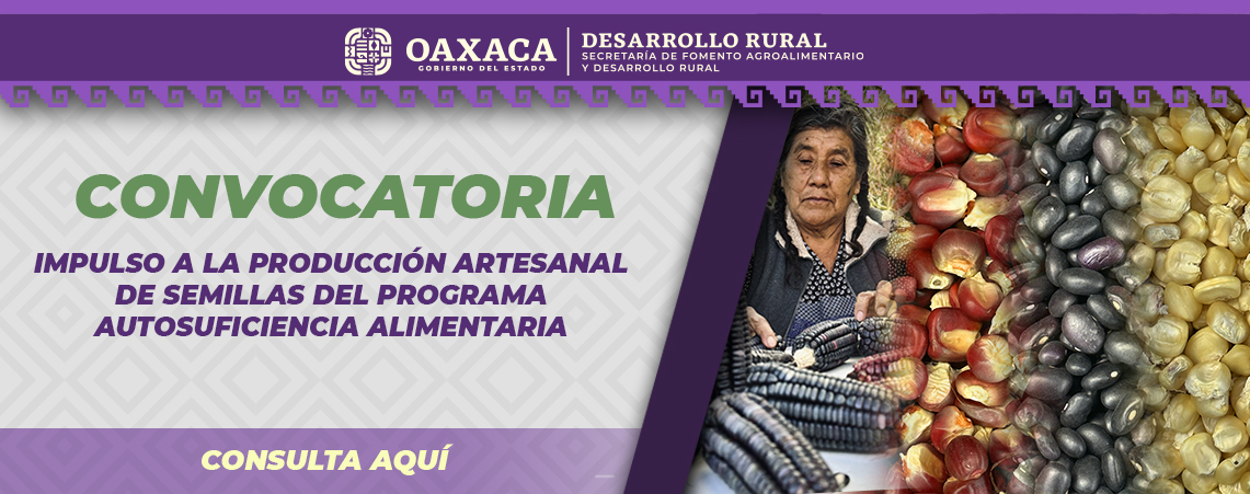 CONVOCATORIA PARA EL COMPONENTE PRODUCCION ARTESANAL DE SEMILLAS AA
