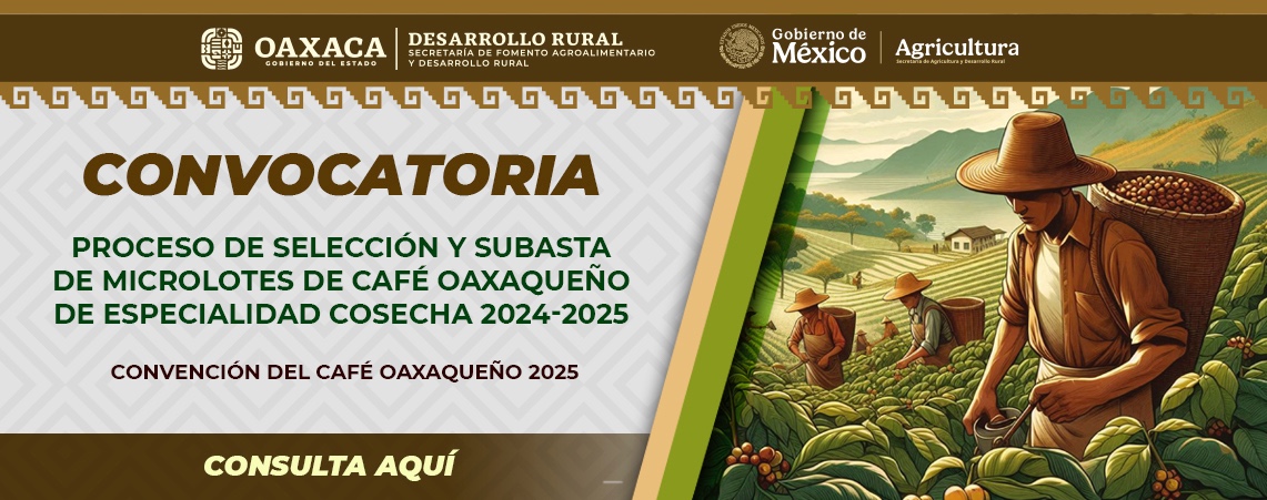 CONVOCATORIA PROCESO DE SELECCION Y SUBASTA