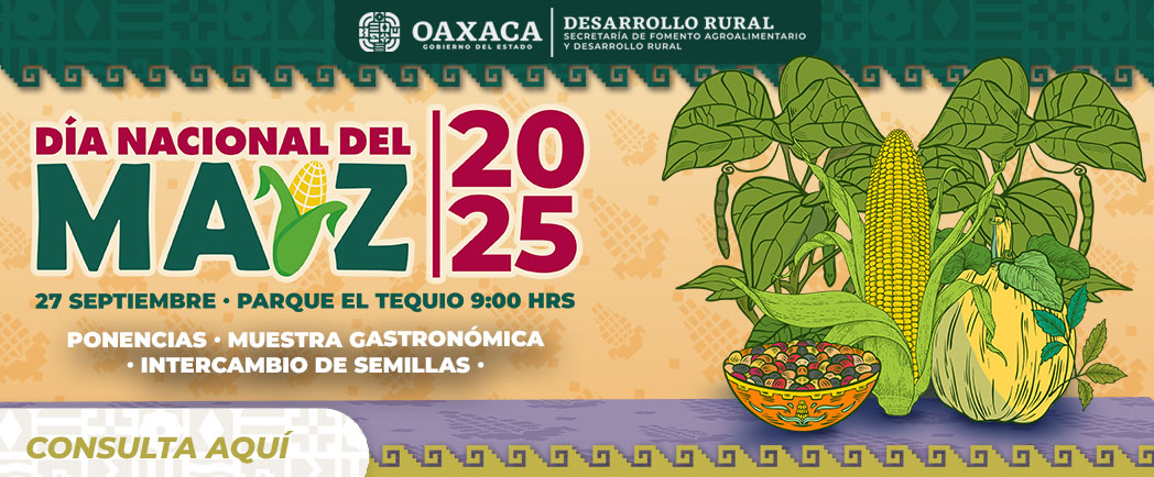 «Día Nacional del Maíz»