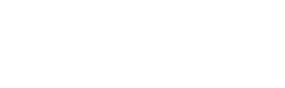 Comité Ejecutivo para el Seguimiento al financiamiento