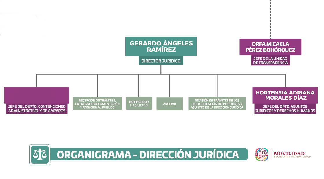 organigrama - DIRECCION JURIDICA