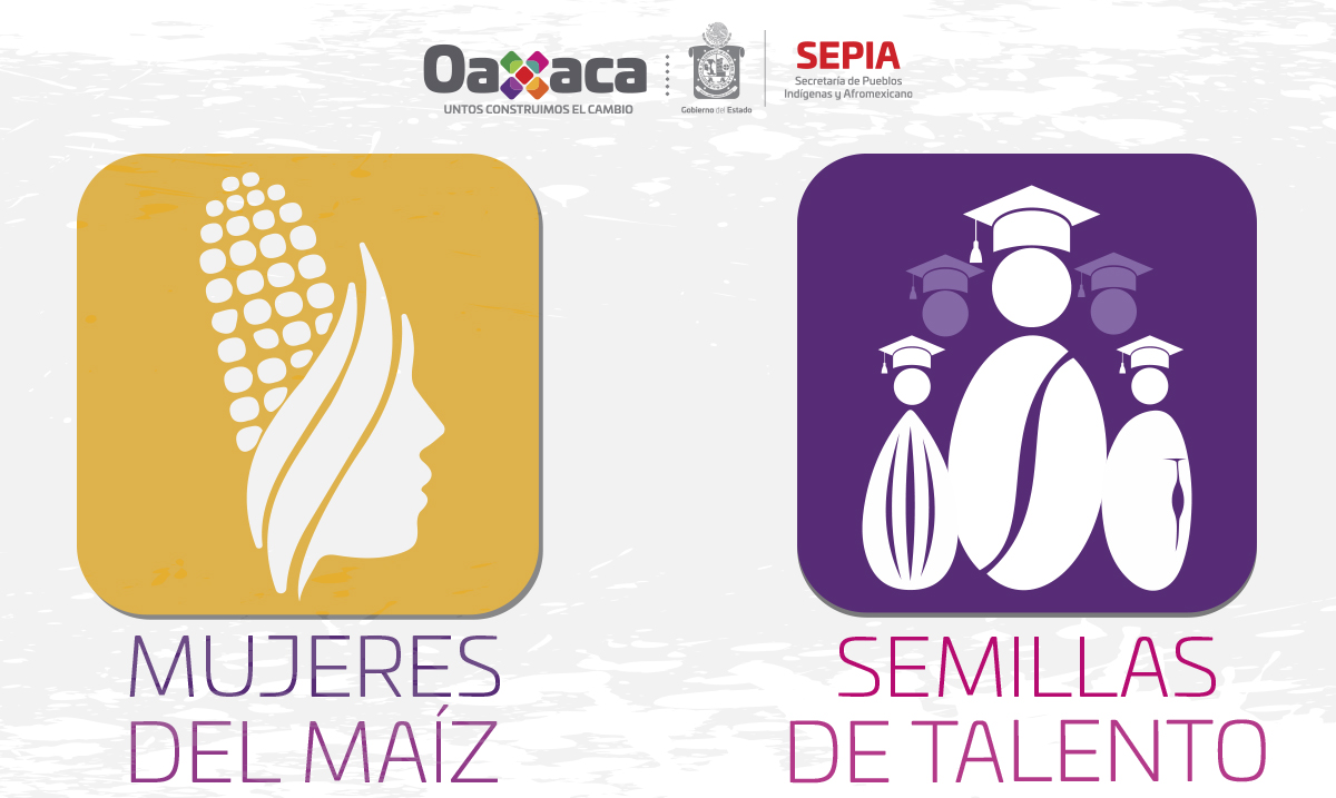 La SEPIA trabaja en la reactivación económica de las mujeres y jóvenes indígenas y afromexicanos La SEPIA trabaja en la reactivación económica de las mujeres y jóvenes indígenas y afromexicanos
