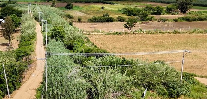 Avance en la ampliación de la red eléctrica en San Juan Chilateca