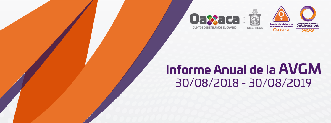 Informe anual AVGM 2018-2019