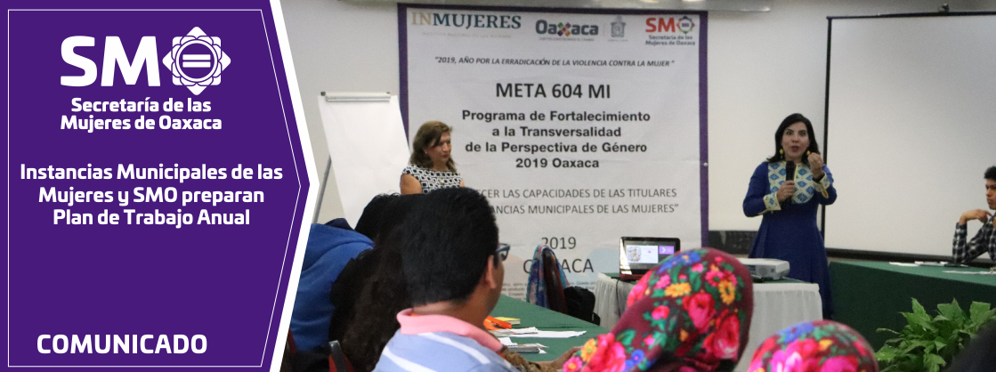 Instancias Municipales de las Mujeres y SMO preparan Plan de Trabajo Anual