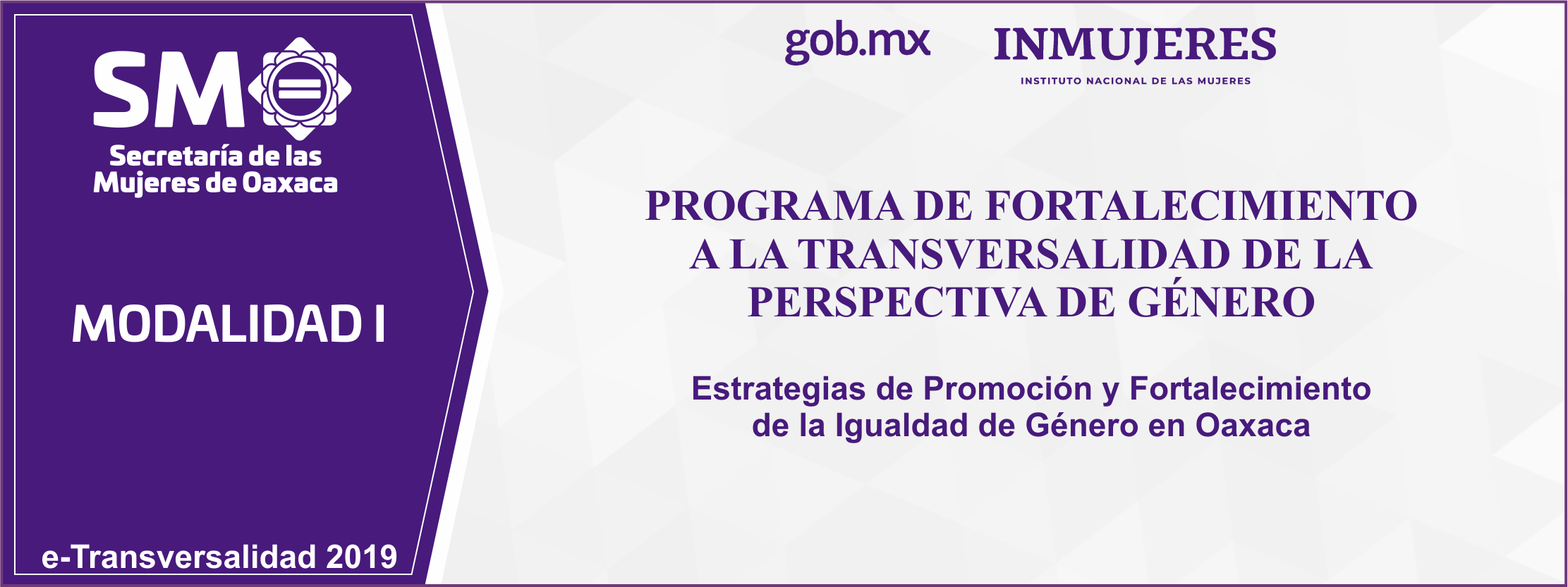 Proyecto: Estrategias de Promoción y Fortalecimiento de la Igualdad de Género en Oaxaca