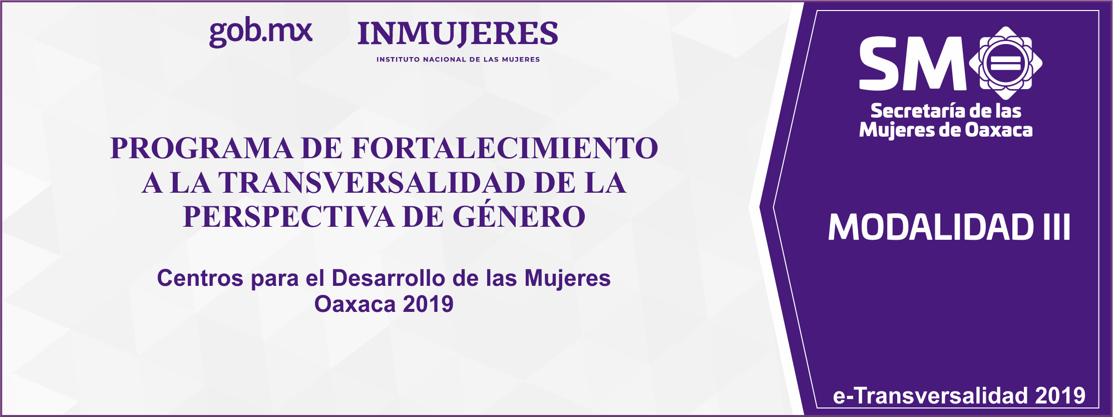 Proyecto: Centros para el Desarrollo de las Mujeres Oaxaca 2019