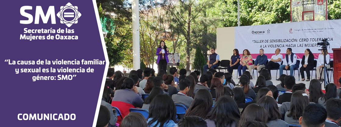 La causa de la violencia familiar y sexual es la violencia de género: SMO