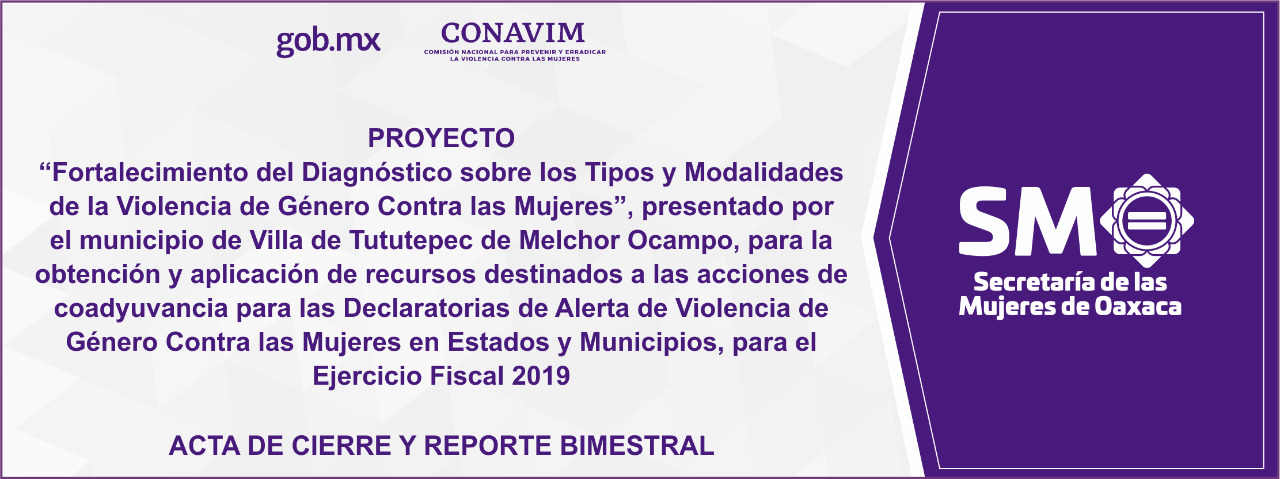 Proyecto de Fortalecimiento del Diagnóstico Sobre los Tipos y Modalidades de la Violencia de Género Contra las Mujeres Municipio Villa de Tututepec de Melchor Ocampo 2019(Acta de Cierre y Reporte Bimestral)