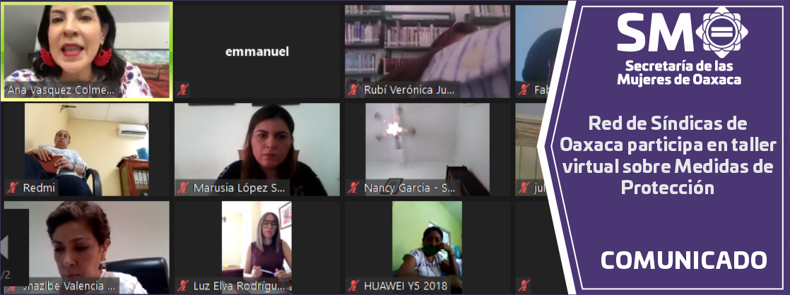 Red de Síndicas de Oaxaca participa en taller virtual sobre Medidas de Protección