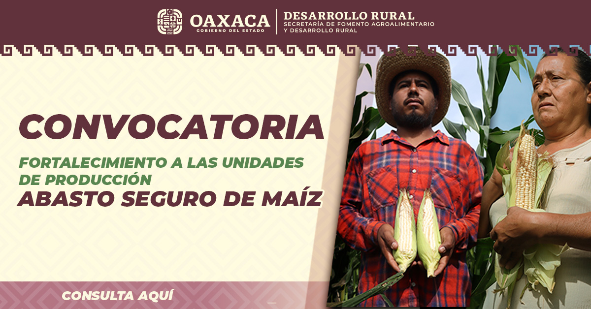 CONVOCATORIA DEL PROGRAMA ABASTO SEGURO DE MAÍZ