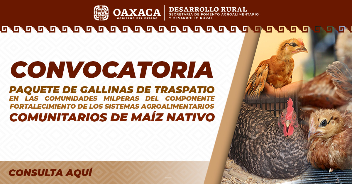 CONVOCATORIA PAQUETE DE GALLINAS DE TRASPATIO