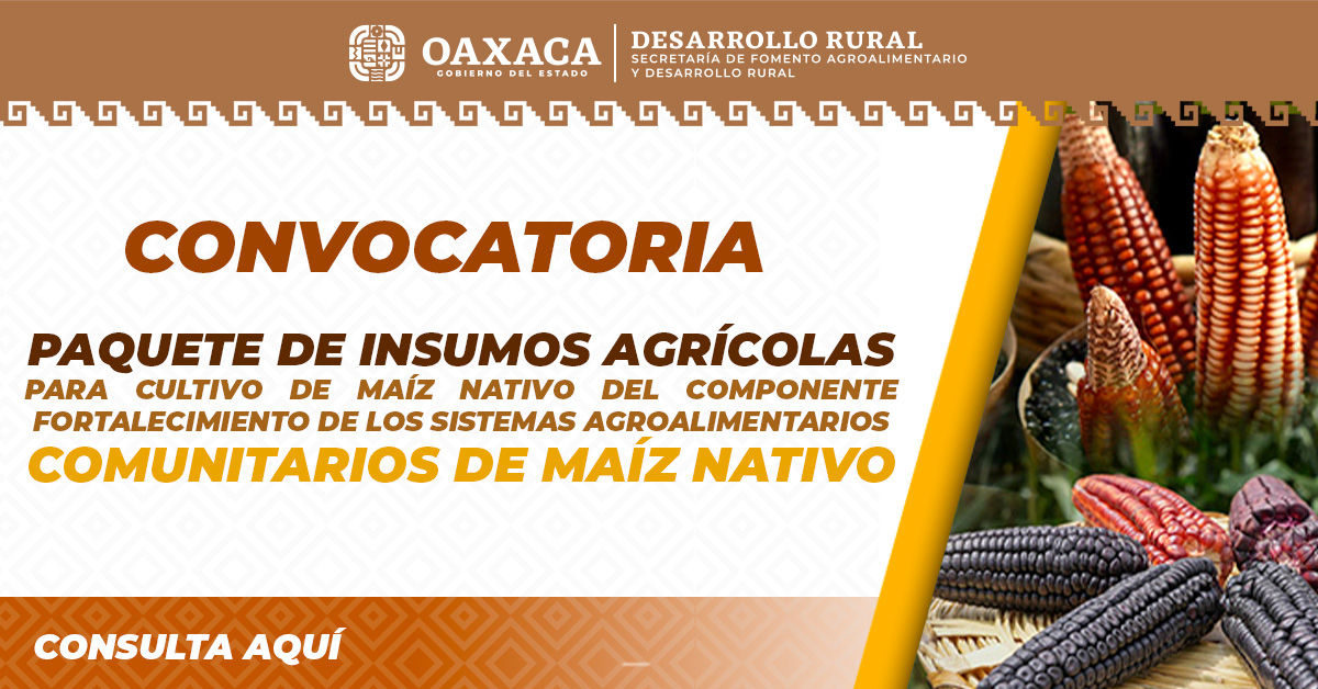 CONVOCATORIA PAQUETE DE INSUMOS AGRÍCOLAS PARA CULTIVO DE MAÍZ NATIVO
