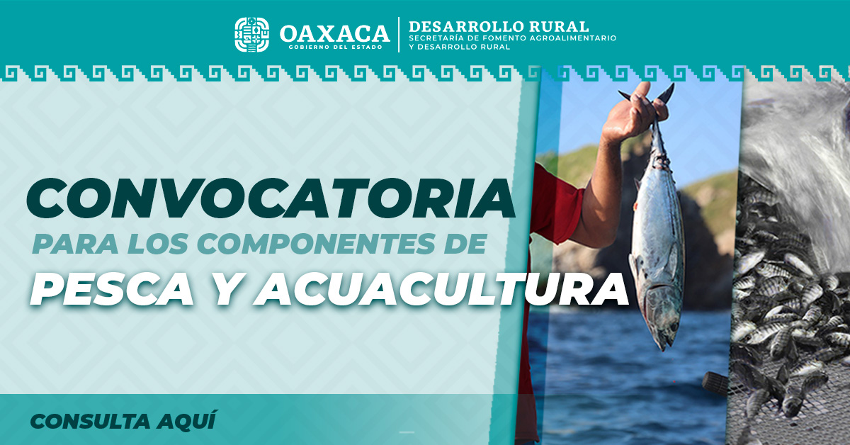 CONVOCATORIA PARA LOS COMPONENTES DE PESCA Y ACUACULTURA