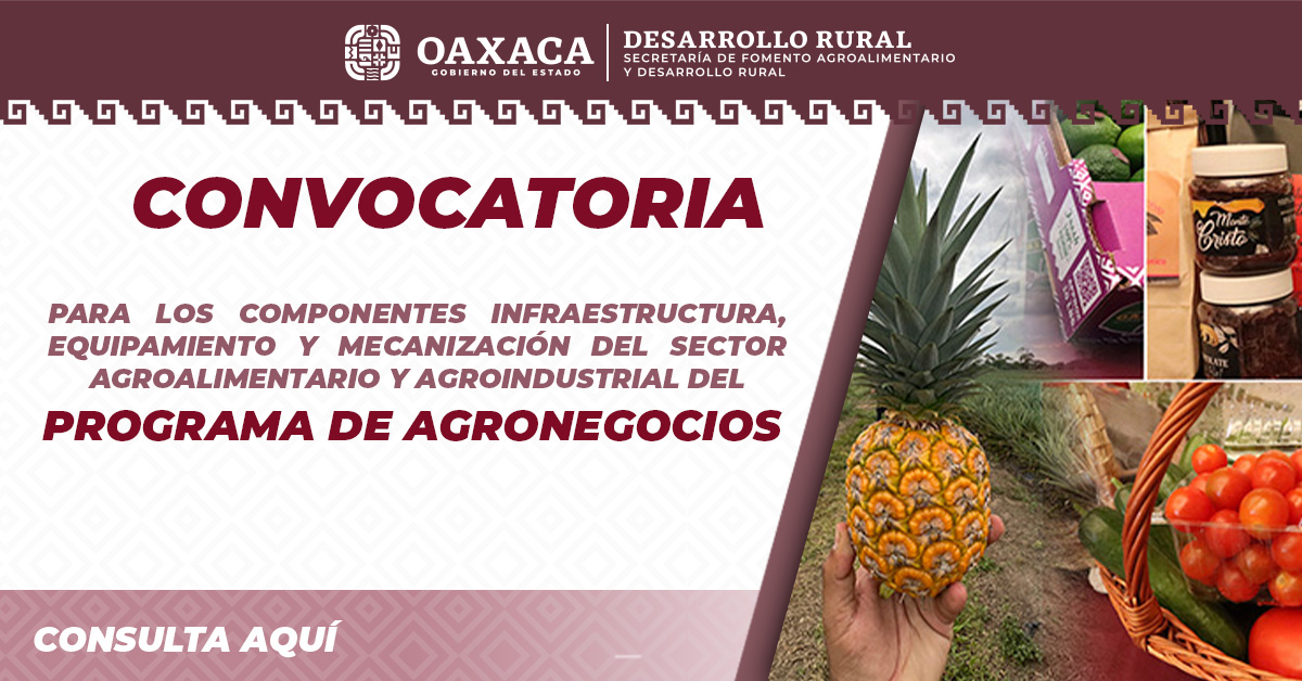 CONVOCATORIA DEL PROGRAMA DE AGRONEGOCIOS PARA EL EJERCICIO 2026