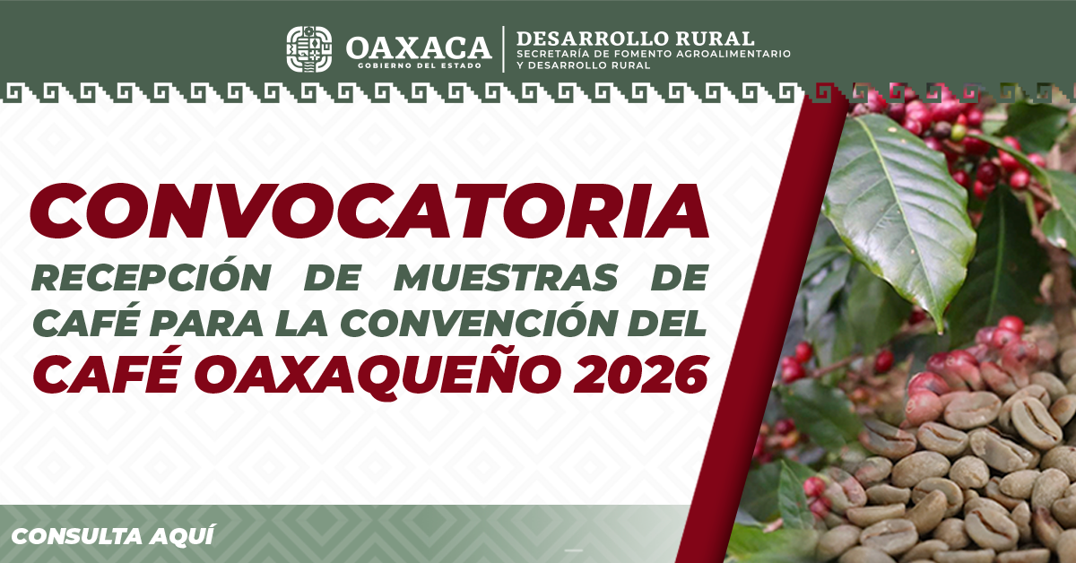 CONVOCATORIA RECEPCIÓN DE MUESTRAS DE CAFÉ PARA LA CONVENCIÓN DE CAFÉ OAXAQUEÑO 2026