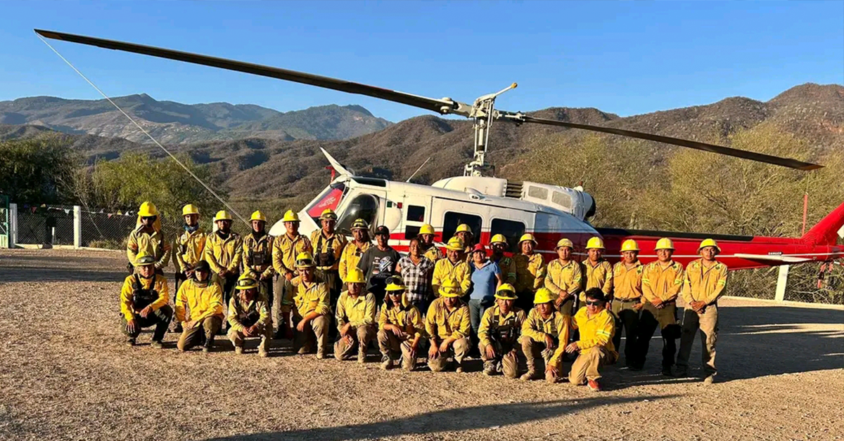 COESFO ASPERJA 272.28 HECTÁREAS EN ESTANZUELA GRANDE PARA EL COMBATE DE PLAGAS FORESTALES