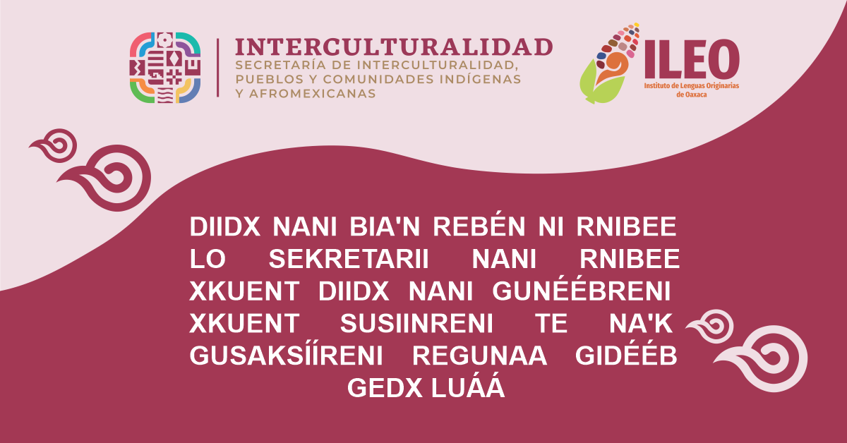 TRADUCCIÓN DE LA «DECLARATORIA DE ALERTA DE VIOLENCIA DE GÉNERO CONTRA LAS MUJERES PARA EL ESTADO DE OAXACA», A LA LENGUA ZAPOTECA DE LA VARIANTE DEL VALLE