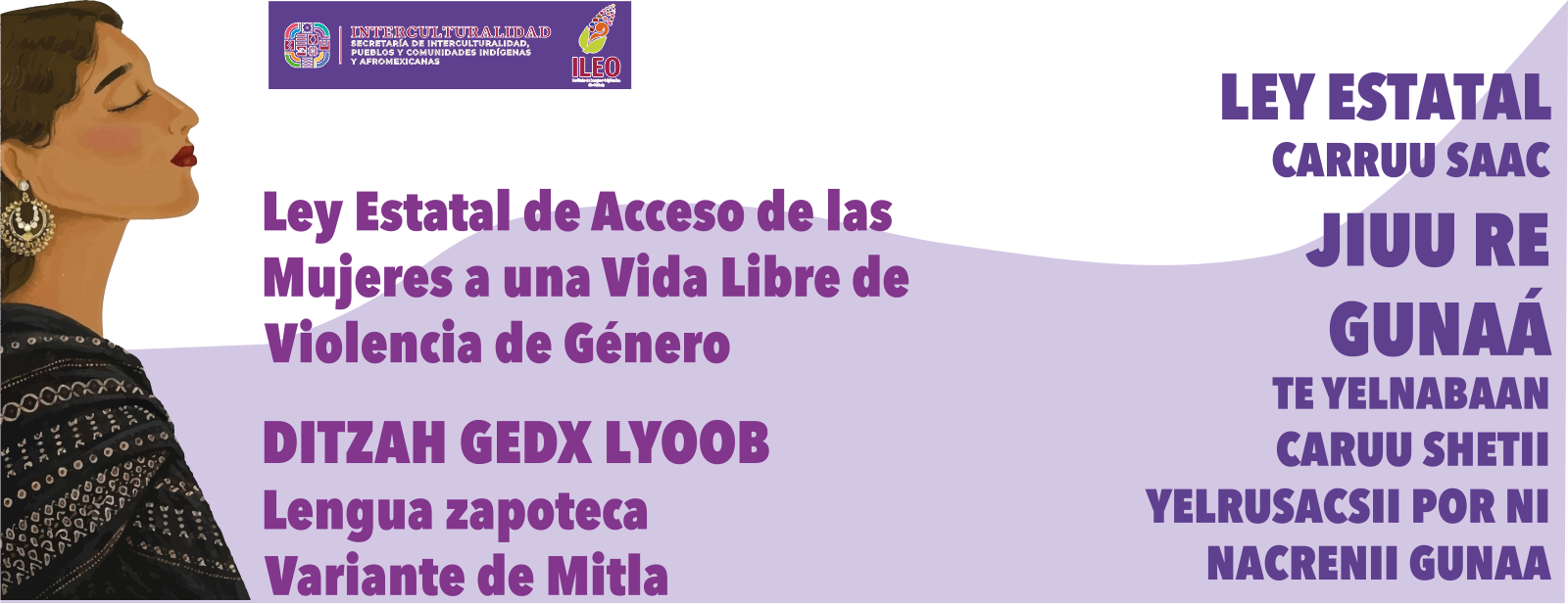 TRADUCCIÓN DE LA LEY ESTATAL DE ACCESO DE LAS MUJERES A UNA VIDA LIBRE DE VIOLENCIA DE GÉNERO, A LA LENGUA ZAPOTECA DE LA VARIANTE DEL VALLE